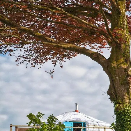 Glamping Yurts Near Newquay Hotel Newquay  Exterior photo