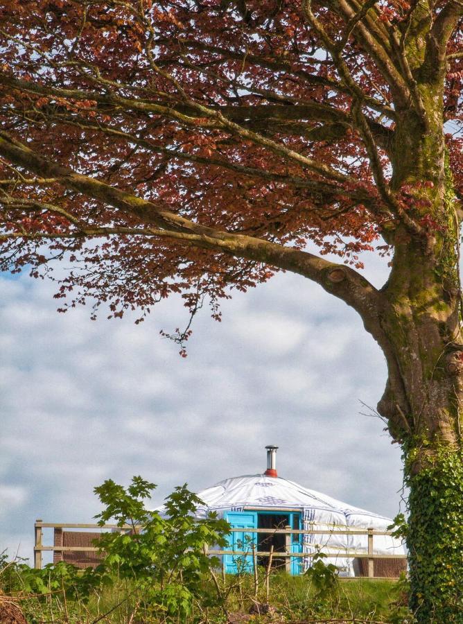 Tente de luxe Glamping Yurts Near Newquay *