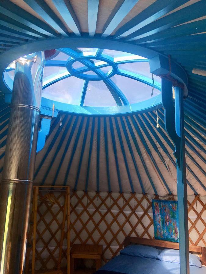 Glamping Yurts Near Newquay * New Quay