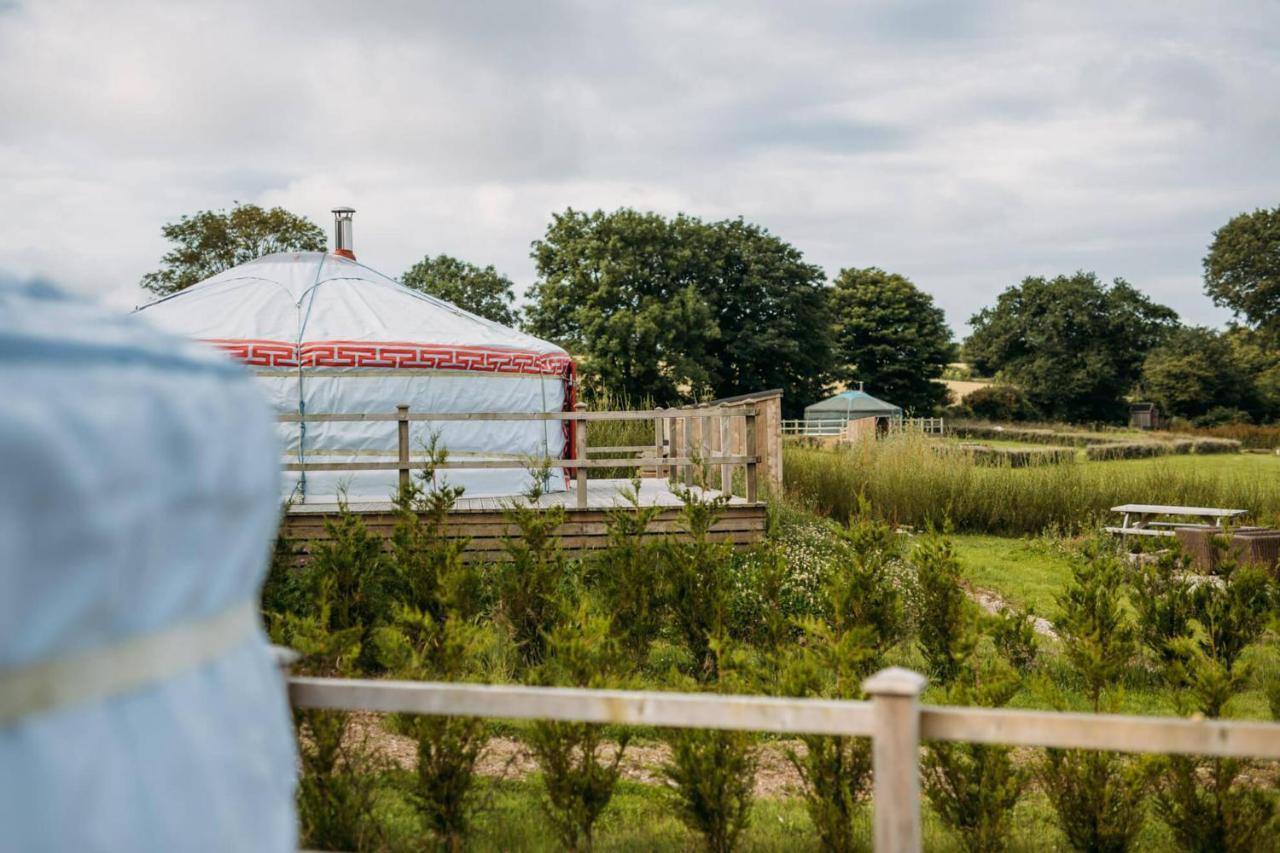 Glamping Yurts Near Newquay * New Quay