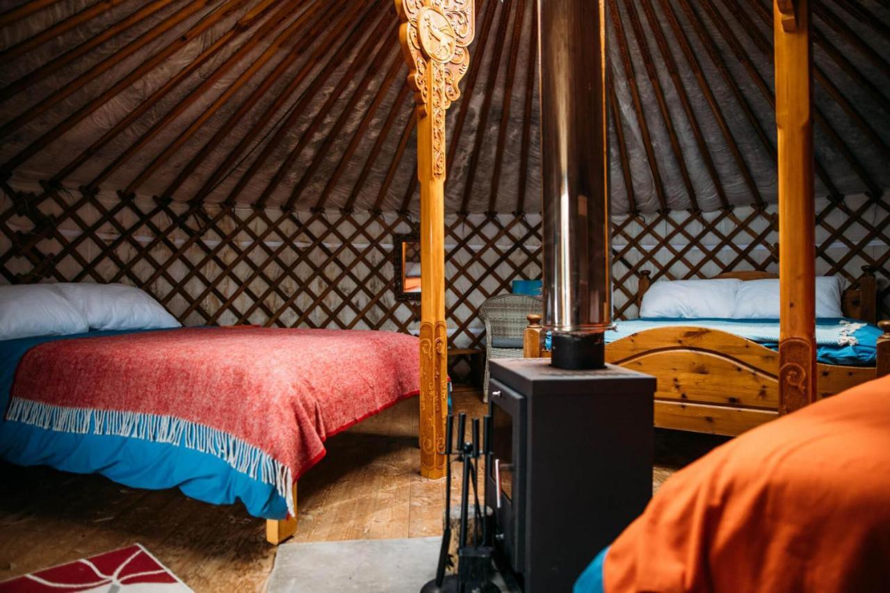 Luxuszelt Glamping Yurts Near Newquay