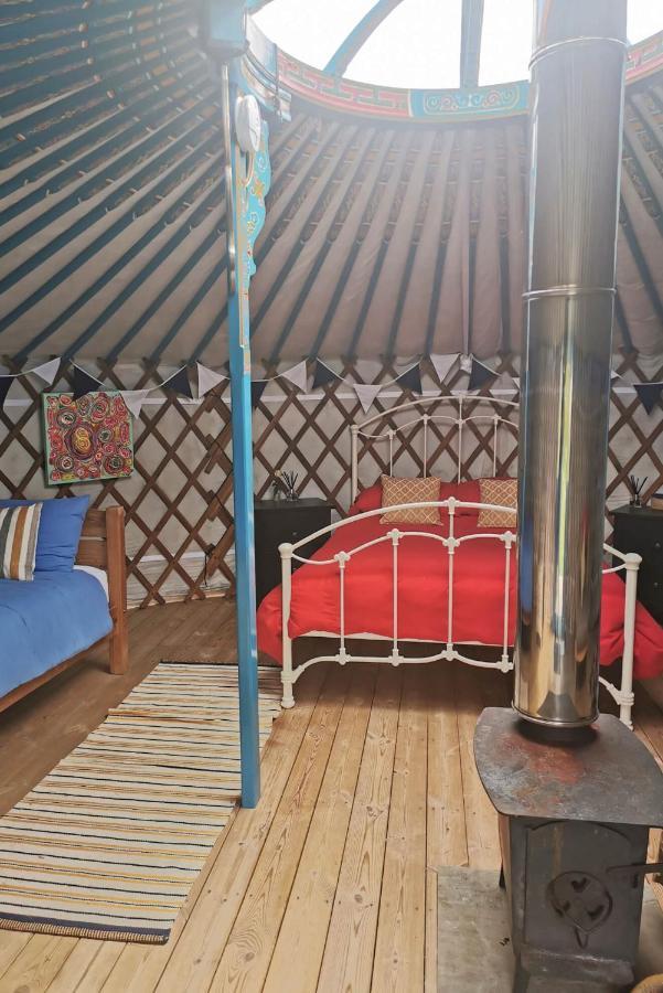 Luxuszelt Glamping Yurts Near Newquay